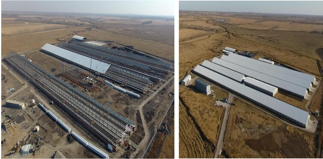 欧博abg(中国区)官方网站