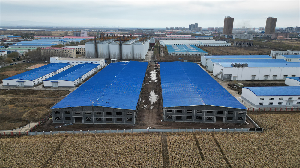 欧博abg(中国区)官方网站