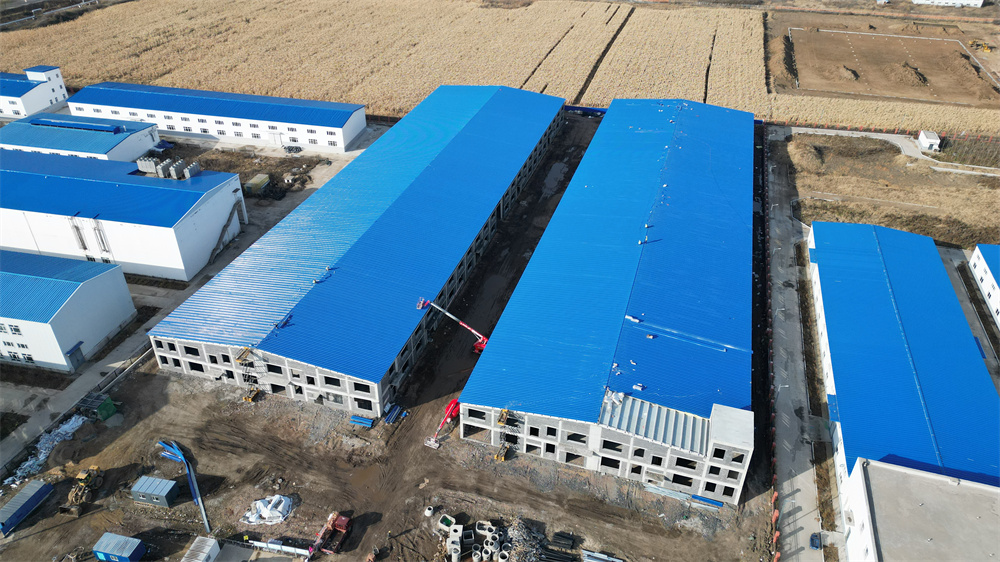 欧博abg(中国区)官方网站